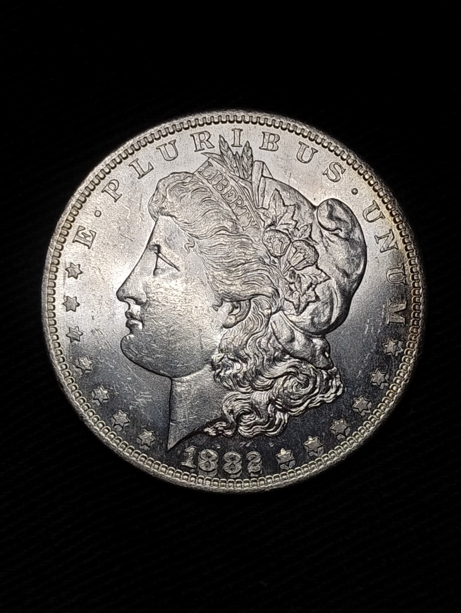 1882-S-Morgan-Dollar-;-Worth-Grading?