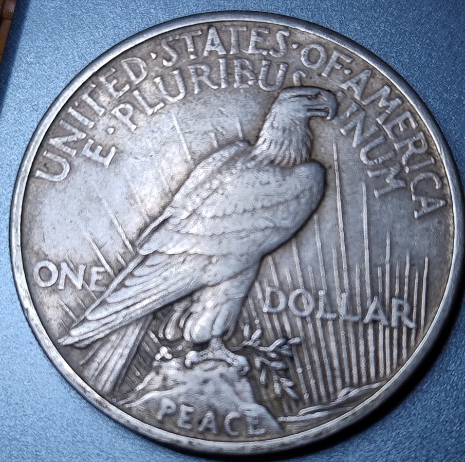 1921-P-Peace-Dollar-Worth-Grading?