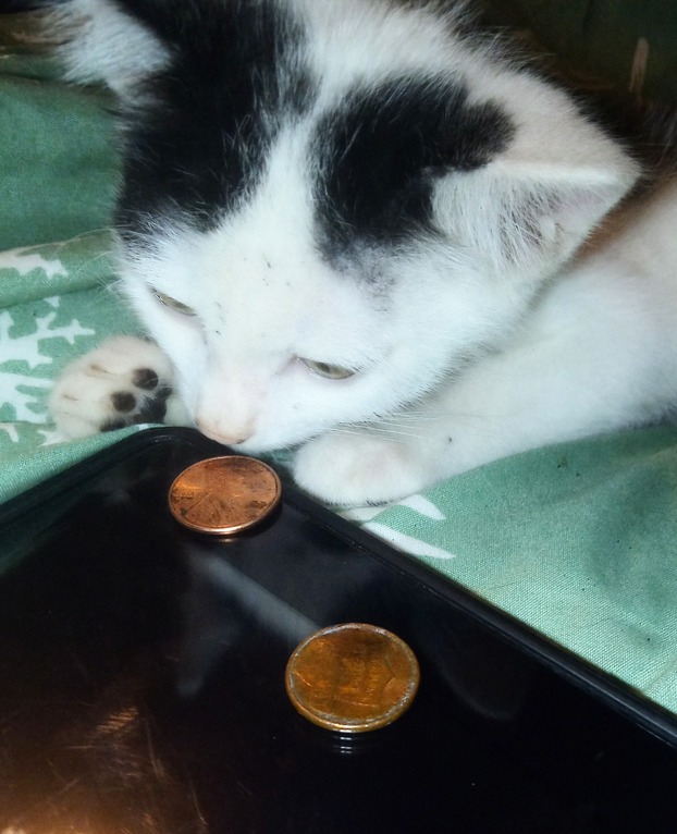Error,-2013?-Penny.-Ugly-Or-I-Should-Grade-It?