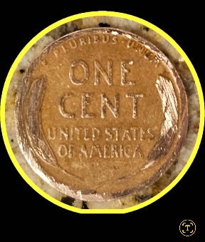 1919-Penny-What-A-Shame