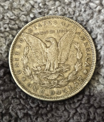 1889-Morgan-Dollar-Should-I-Have-It-Graded?
