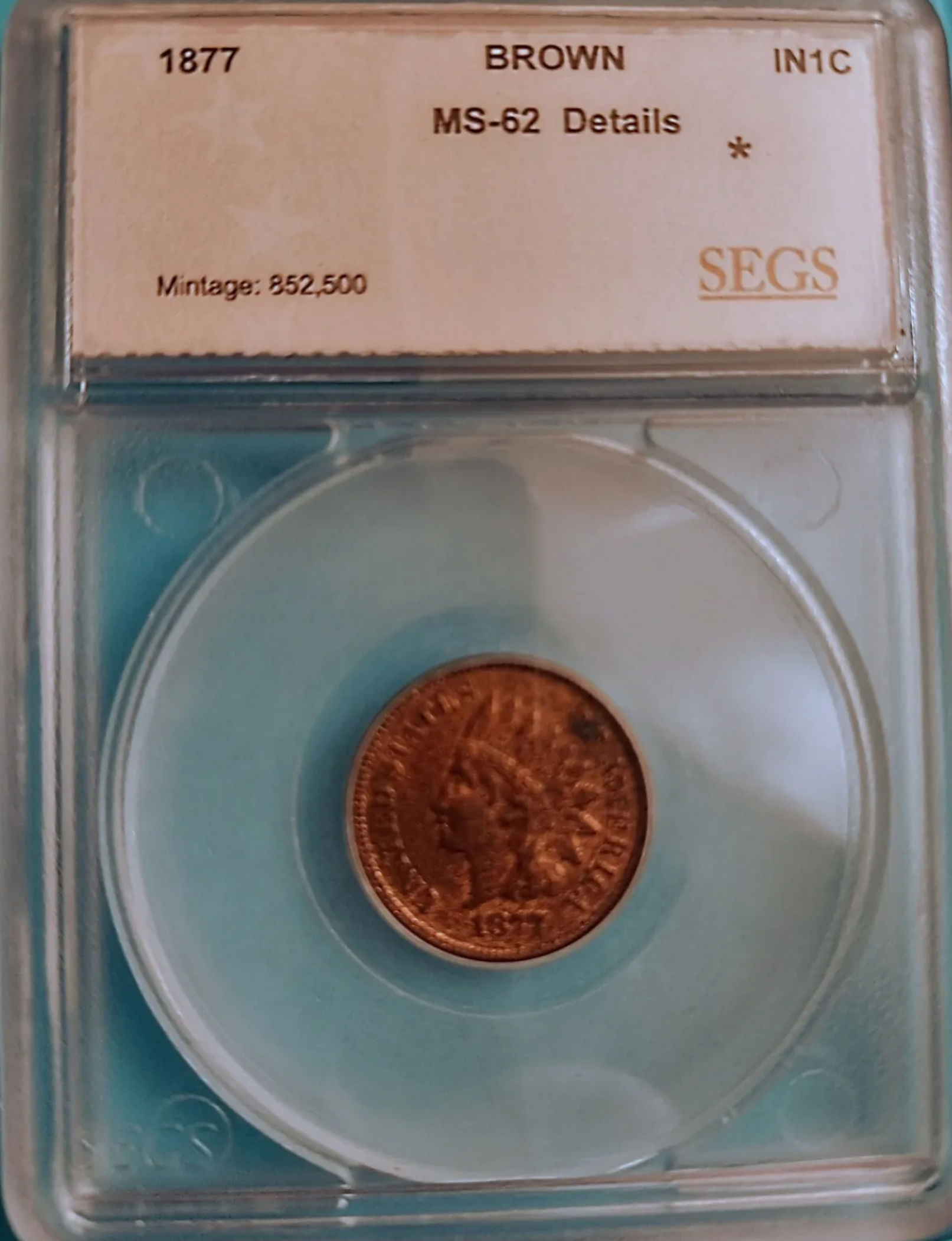 1877-Indian-Head-Segs-Graded---Help!