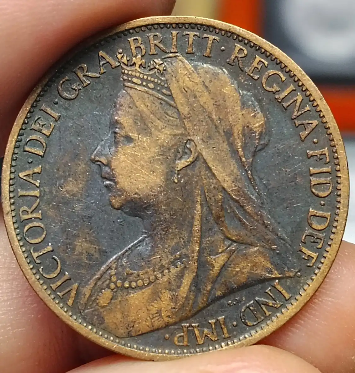 Continuing-List-To-Show-Everyones-Latest-Acquisitions