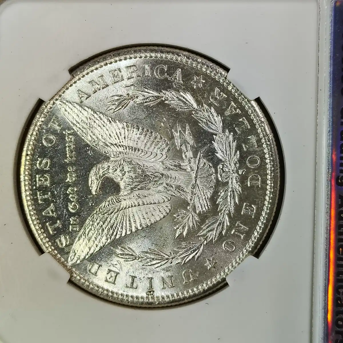 Continuing-List-To-Show-Everyones-Latest-Acquisitions