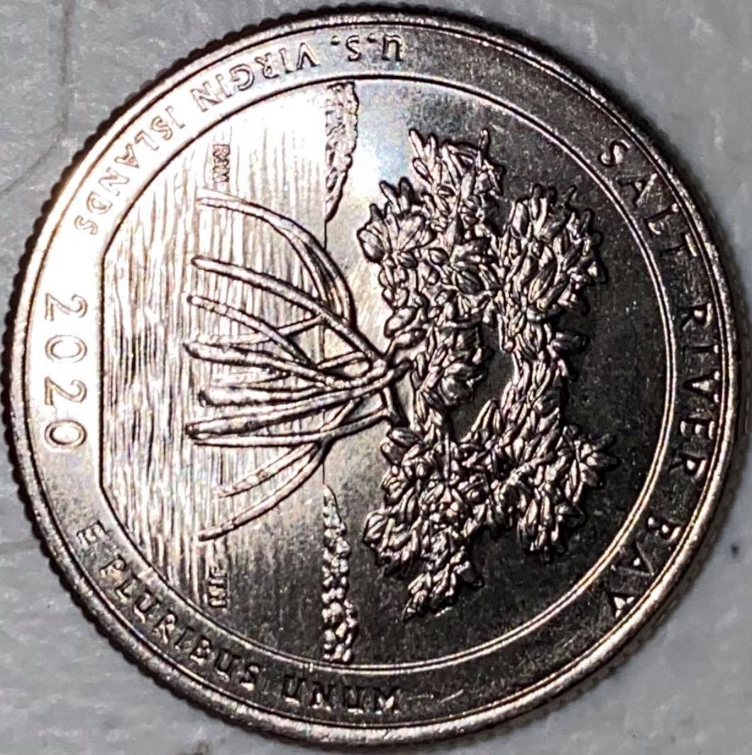 2020-Salt-River-Bay-Reverse-Side-Error?