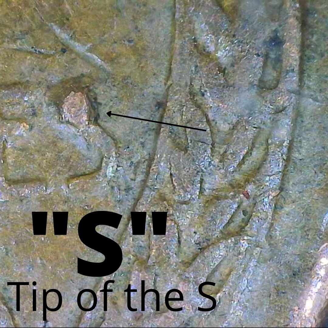 1958-Wheat-Penny,-Is-It-Double-Die-Or-Just-Damage-Check-The-Cud-?