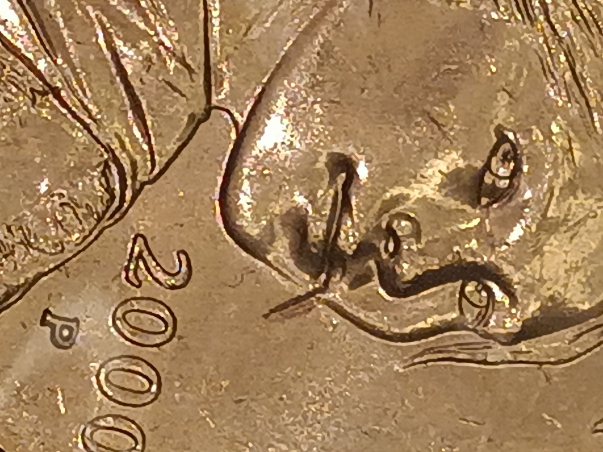 Sacagawea-Mouth-Error-2000-P-Dollar