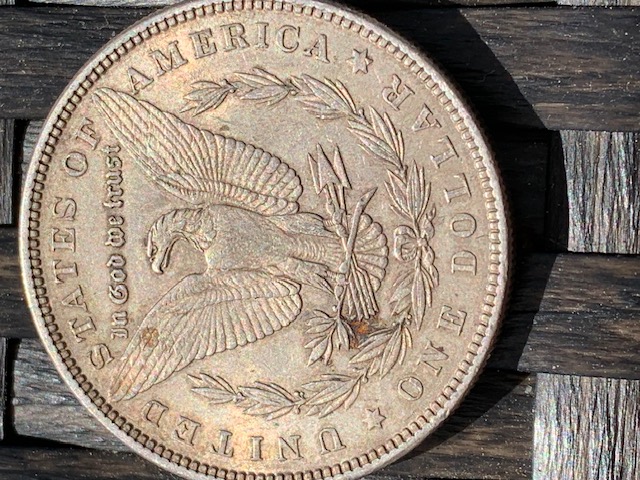 1884-P-Morgan-Worth-Grading?