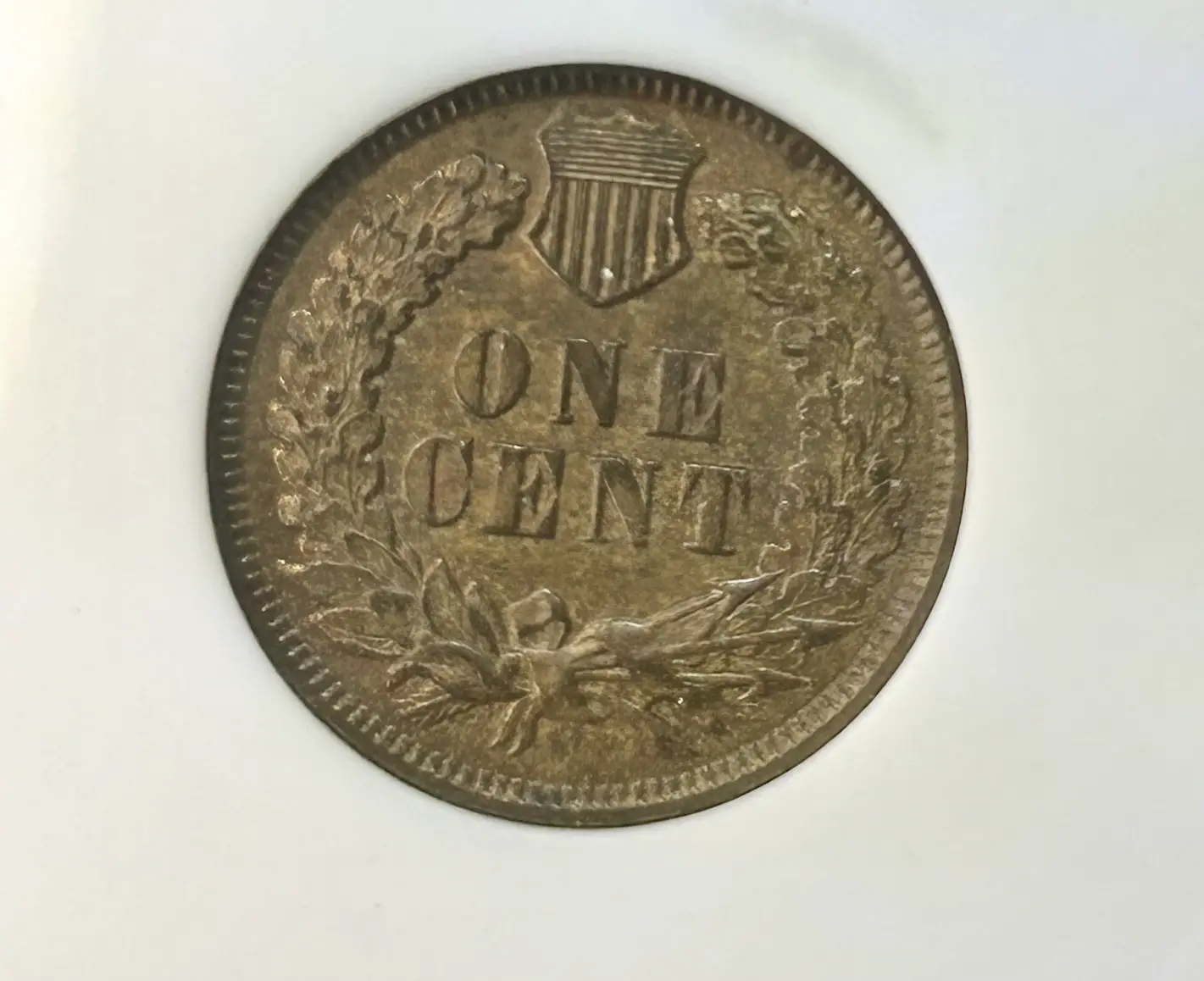 1895-Indian-Head---Thoughts-On-A-Grade?