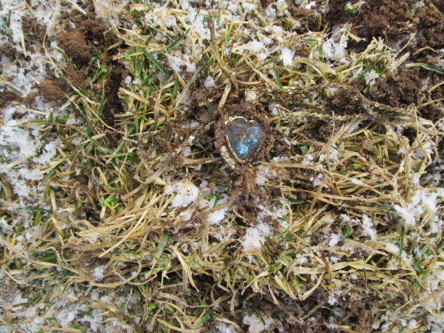 Wow-Moment-On-The-Tundra