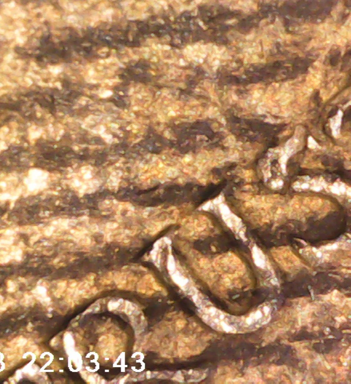 1964-Half-Dollar-With-Many-Parallel-Stripes
