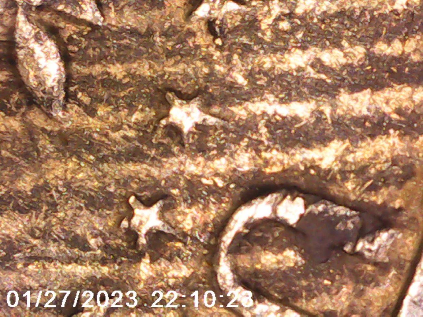 1964-Half-Dollar-With-Many-Parallel-Stripes