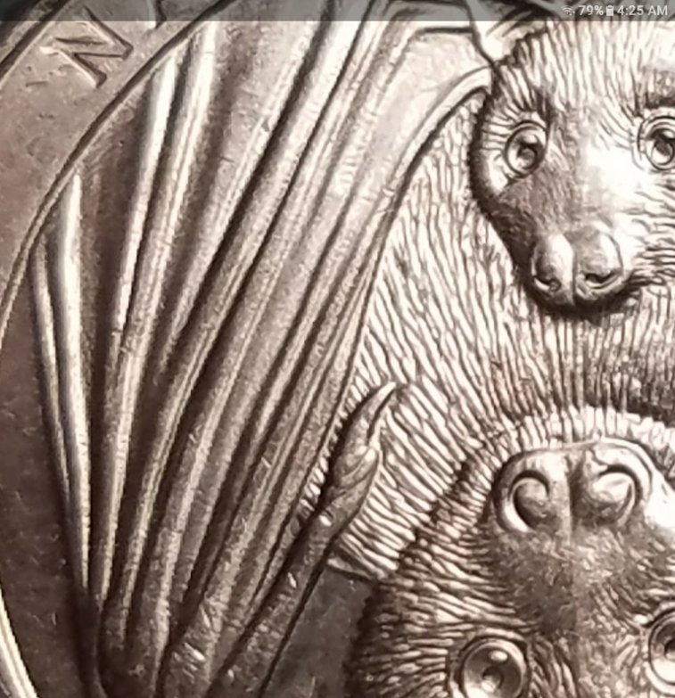 2020-Bat-Quarters--P-And-D-Mint-Errors?