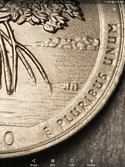 2020-Salt-River-Bay-Quarters
