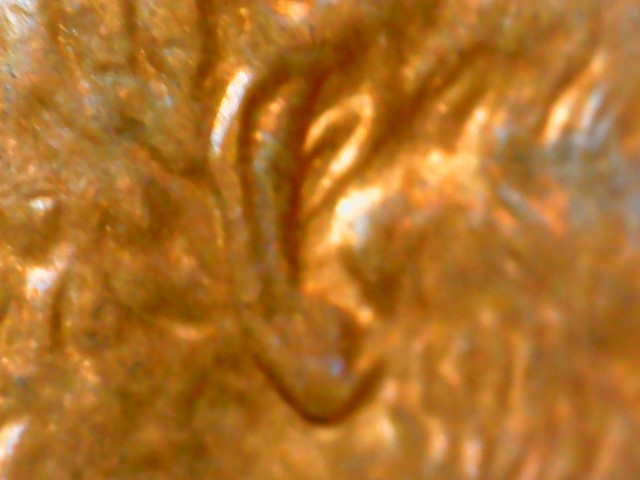 1992-D-Lincoln-Cent-Possible-Doubling-On-The-Upper-Area-Of-Lincolns-Ear