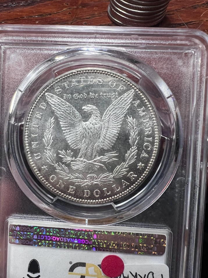 1885-And-1886-Morgans-For-Your-Consideration