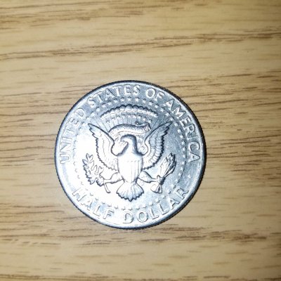 Question-Regarding-Specific-Gravity-1971-D-Kennedy-Half-Dollar