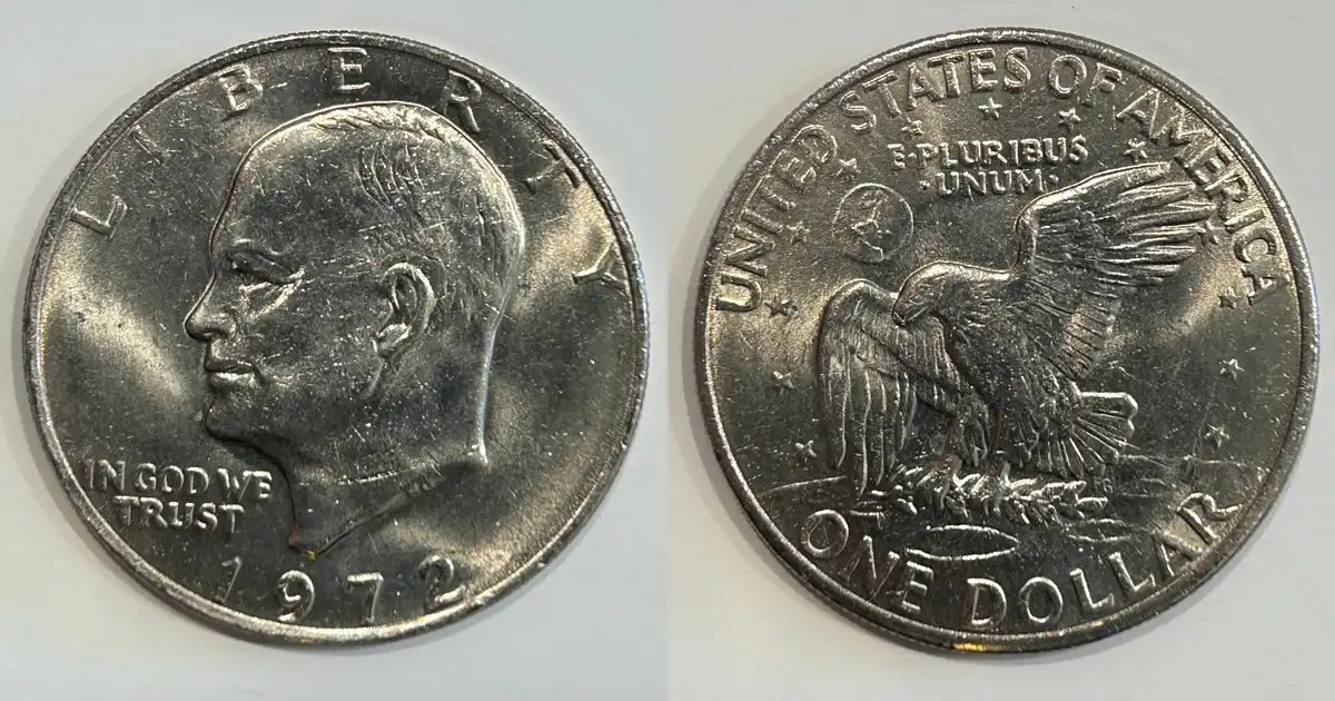 Seamonkey's-Eisenhower-Dollar---Dansco-8176