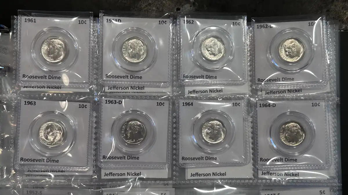 Seamonkey's-Roosevelt-Dimes---Dansco-8125