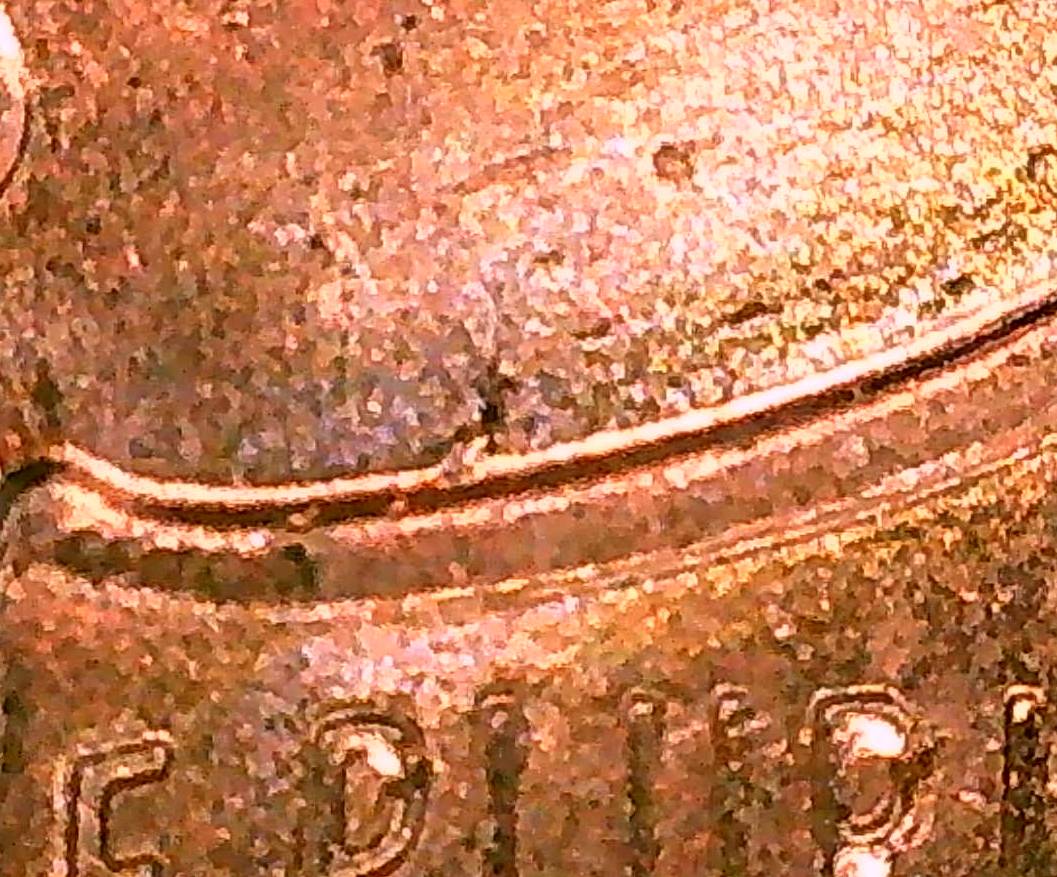 Are-Die-Chips/-Plating-Bubbles-Worth-Keeping-On-LSC?