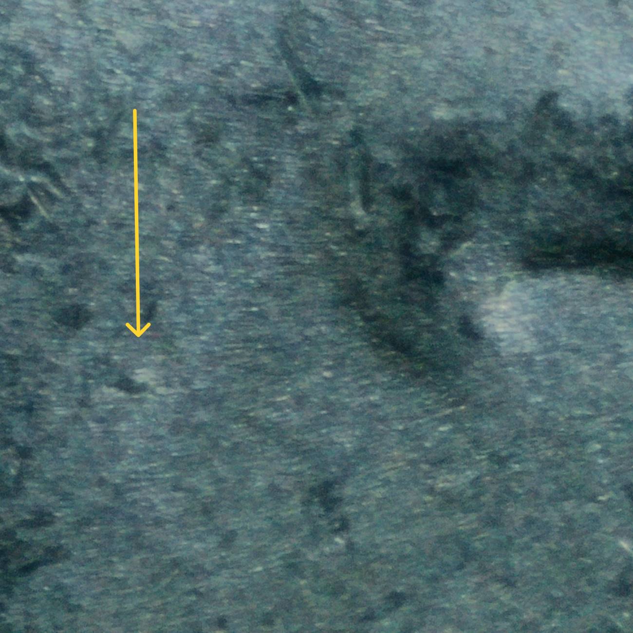 2019-P-Nickel:-WDDR-041