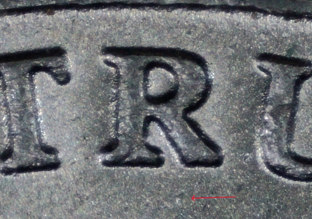 2023-P-Nickel:-WDDR-119