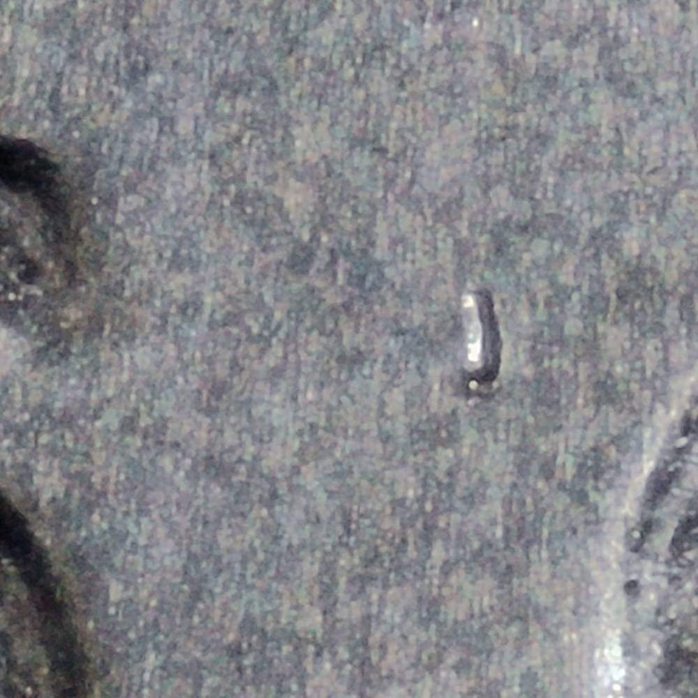 2023-P-Nickel:-WDDR-099-With-Ring-Of-Death