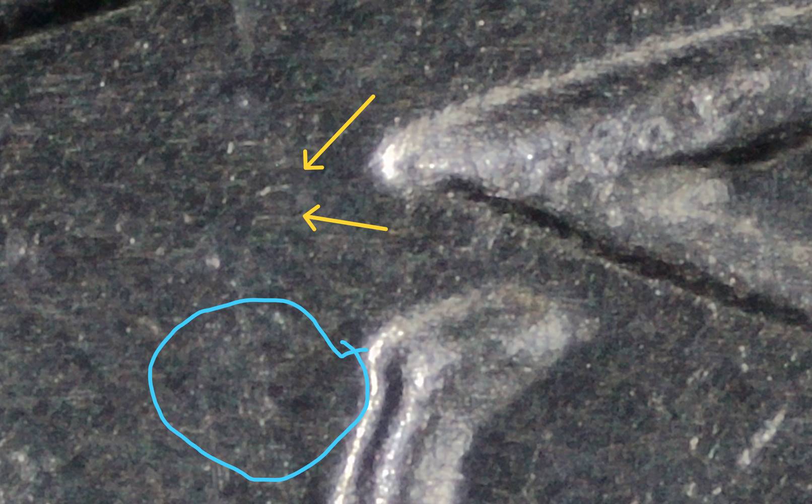 2023-P-Nickel:-WDDR-099-With-Ring-Of-Death