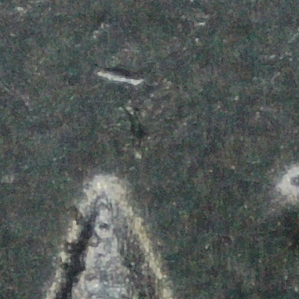 2023-P-Nickel:-WDDR-099-With-Ring-Of-Death