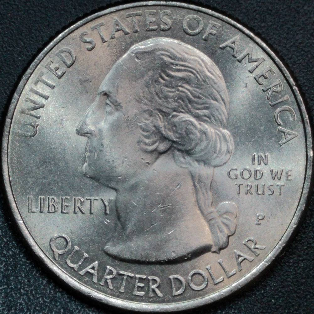 2020-P-Kansas-Quarter:-Chip,-Crack,-Or-Idb?