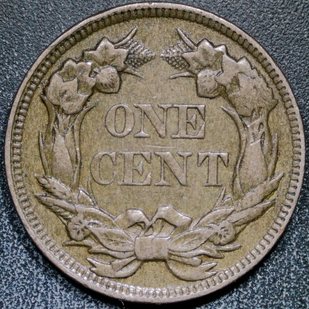 Sharing-My-First-Flying-Eagle-Cent