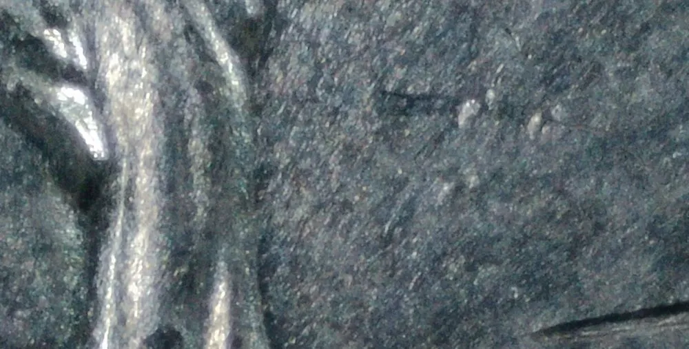 2023-P-Nickel:-WDDR-026