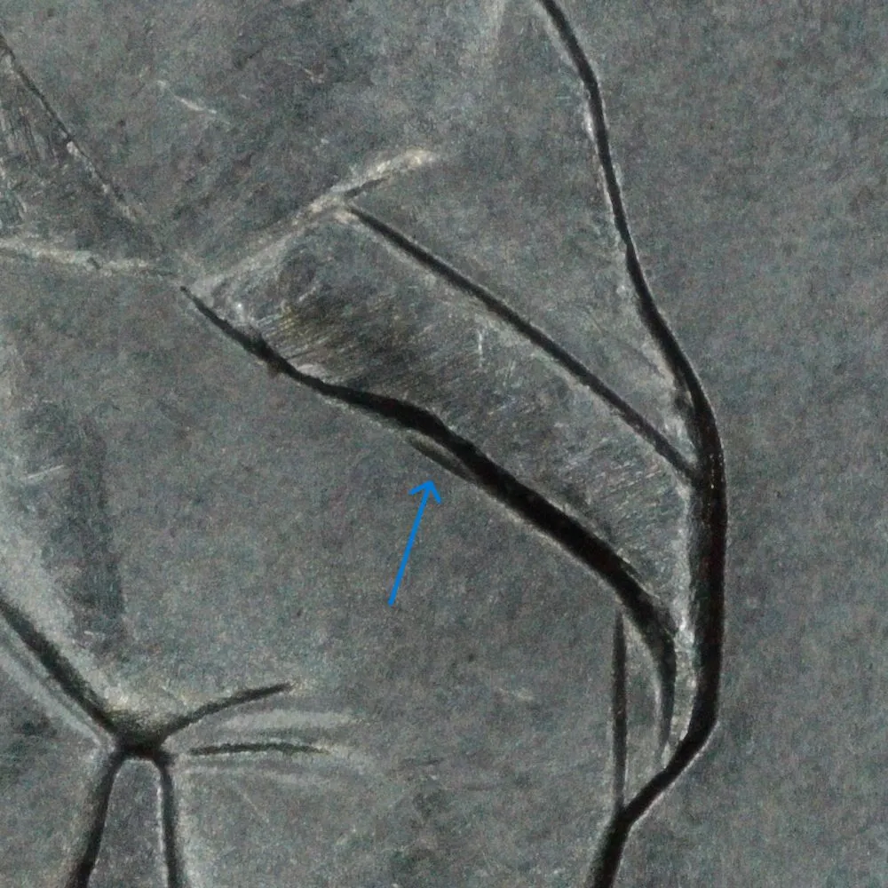 2016-P-SC-Quarter:-Unlisted-DDR