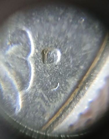 Bicentenial-Washington-Quarter-1976.