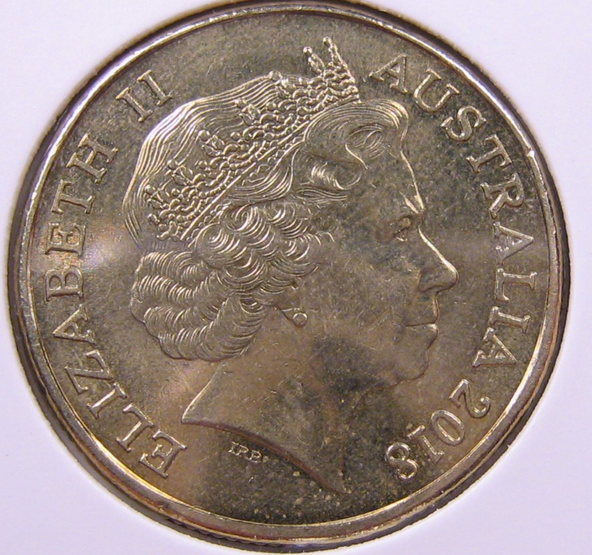 Noodling-Find-Of-The-Week?