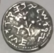 Real-Or-Fake-Jewish-&-Roman-Coins