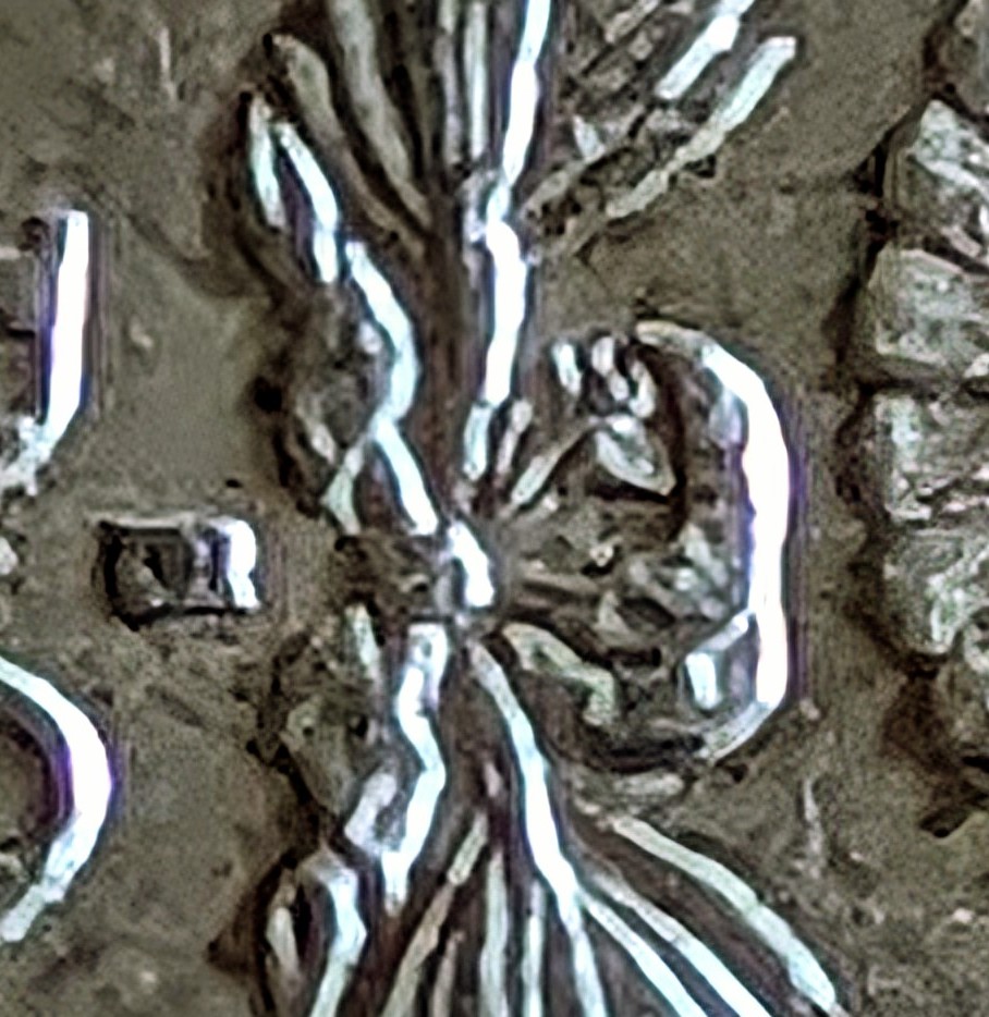 I-Have-An-1878-S.-Morgan-Dollar-Where-The-Bow-Is-Separated-From-The-Knot-And-The-Olive-Branches