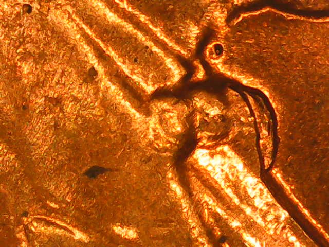 1958-Liberty-Wheat-Cent