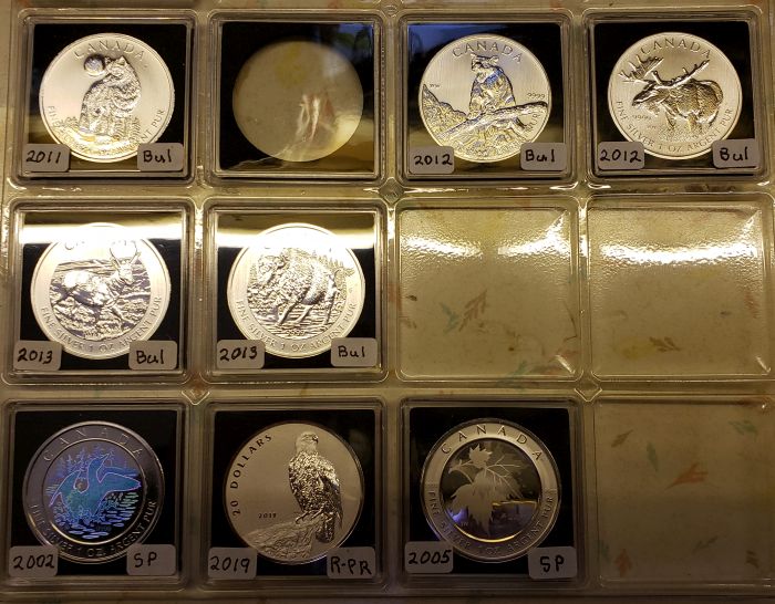 My-Collection-Of-1-Ounce-Silver-Maples