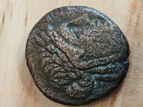 Ancient-Coin-Identification-Help-Please.
