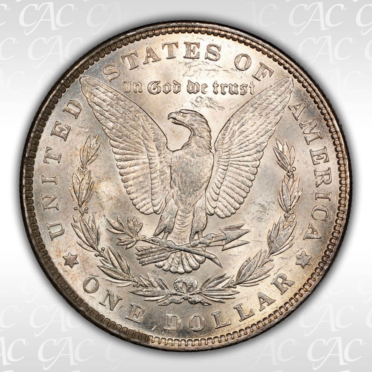 1881-And-1882-Morgan-Dollars:-Questionable-Toning?