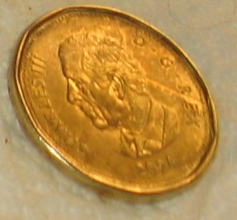 Strange-Looking-2024-Loonie!