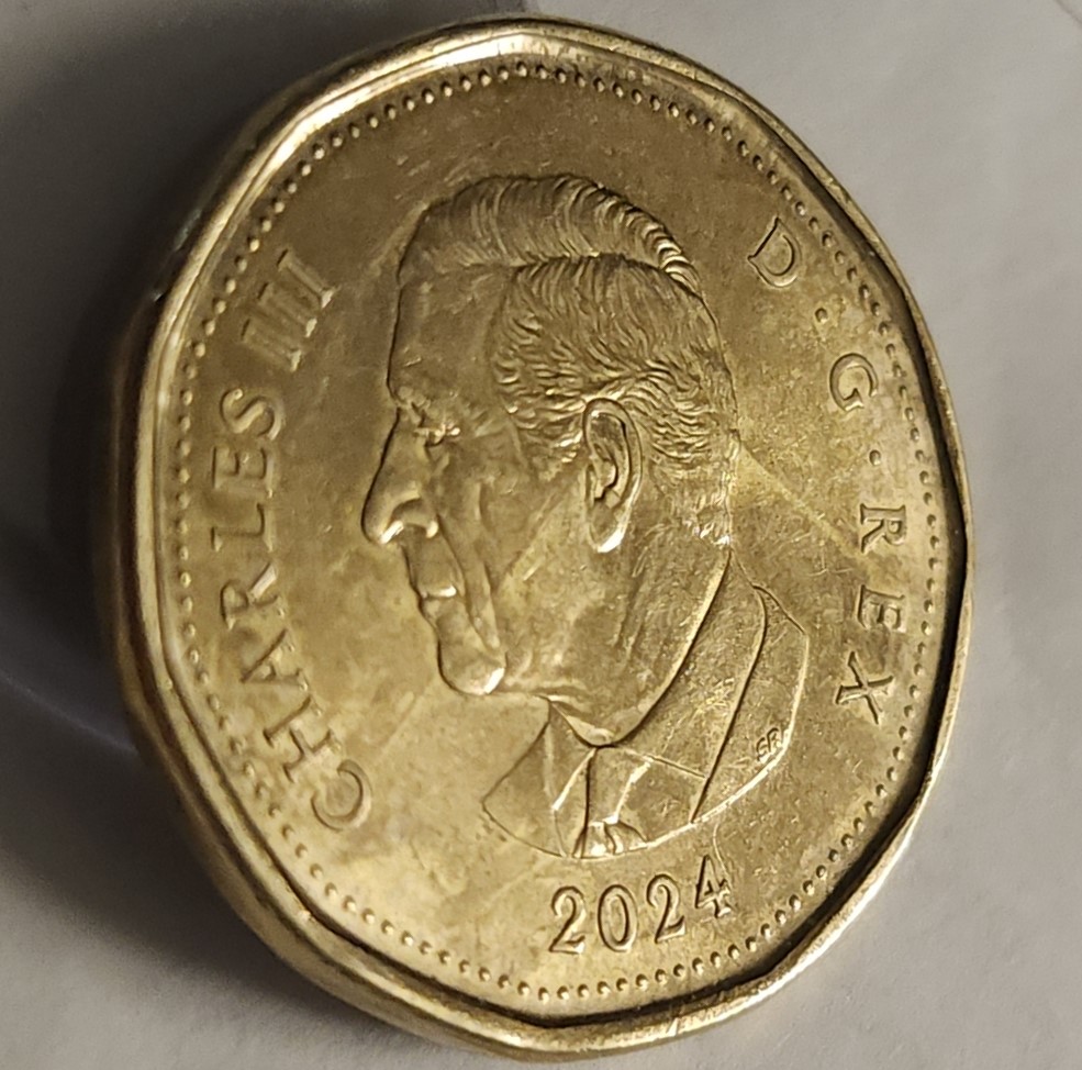 Strange-Looking-2024-Loonie!