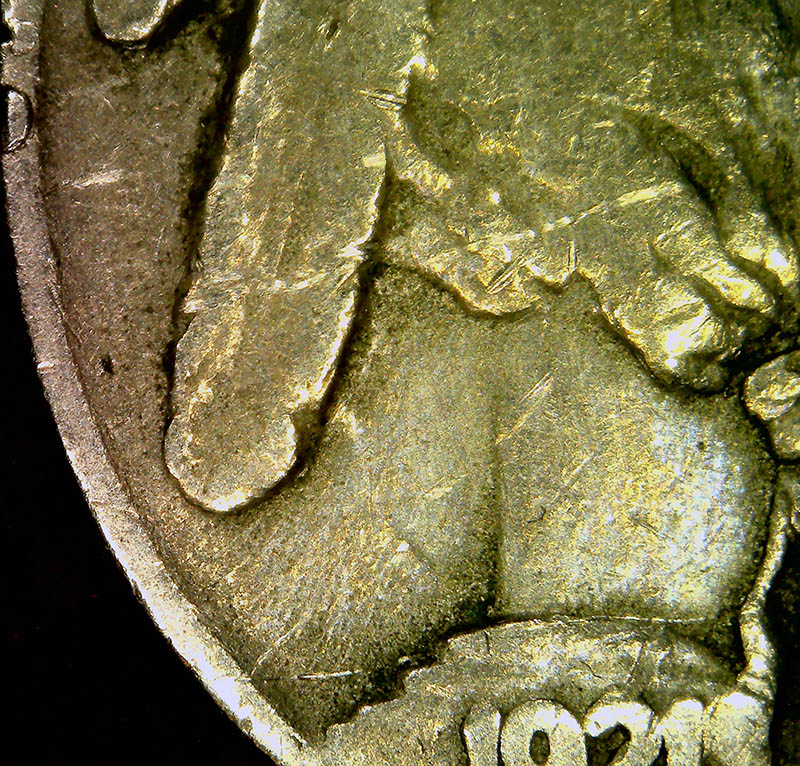 1921-P-Buffalo-Nickel-Two-Feather