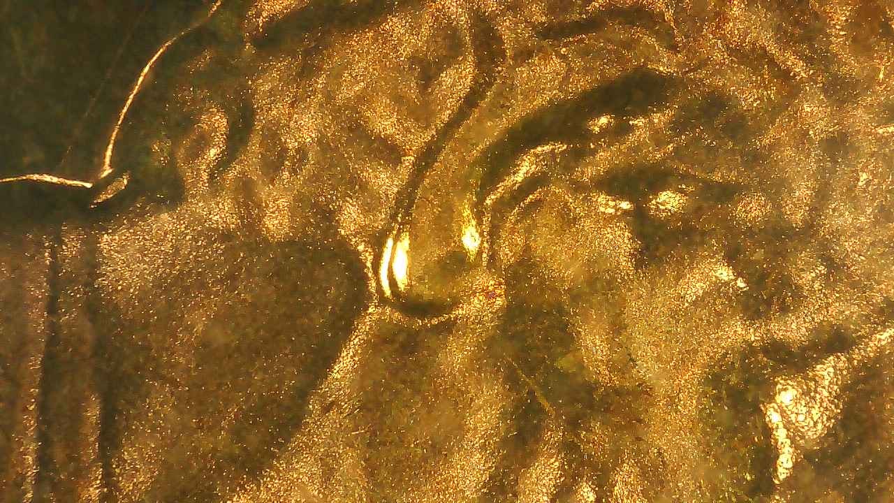 1970-S-Proof-Set-With-4-Of-5-Error-Coins-Post-1-Of-4