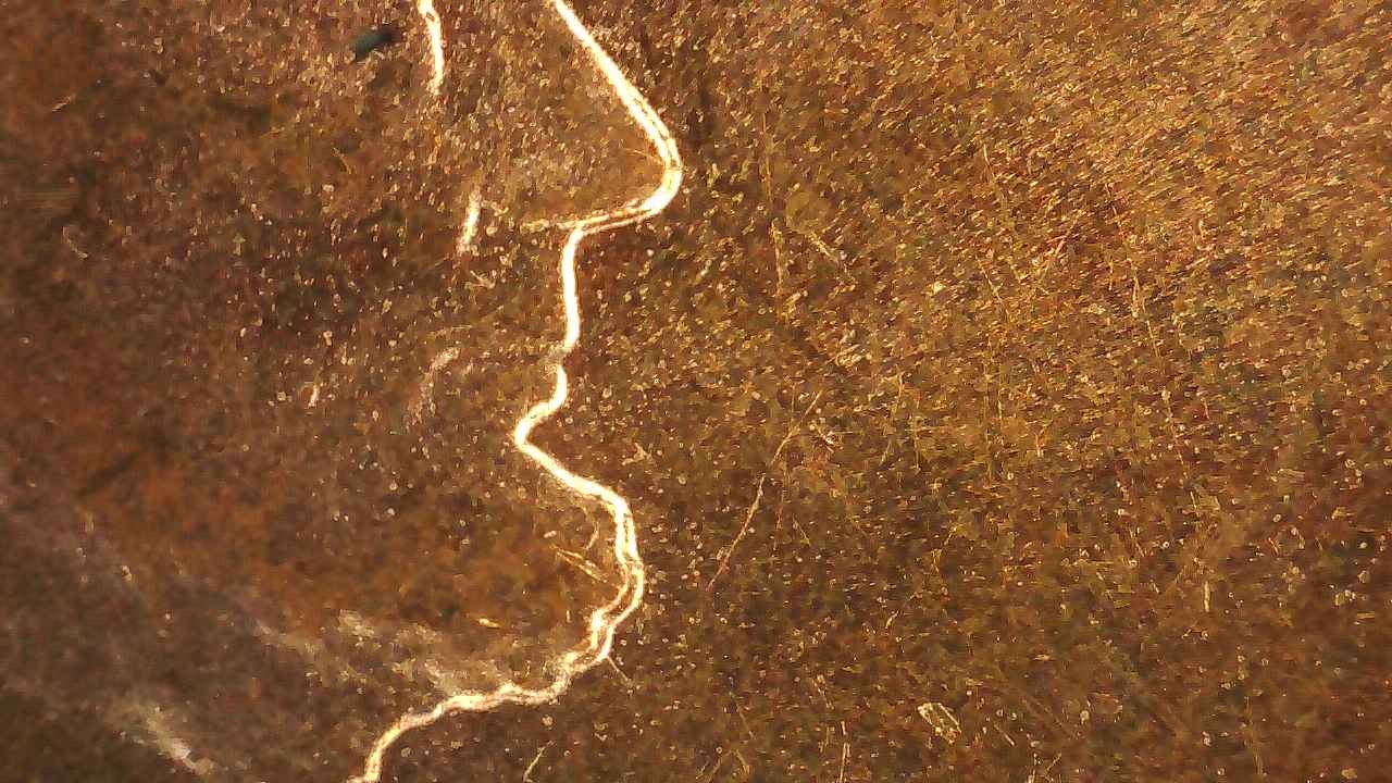 2017-P-Shield-Cent-DD-VDB