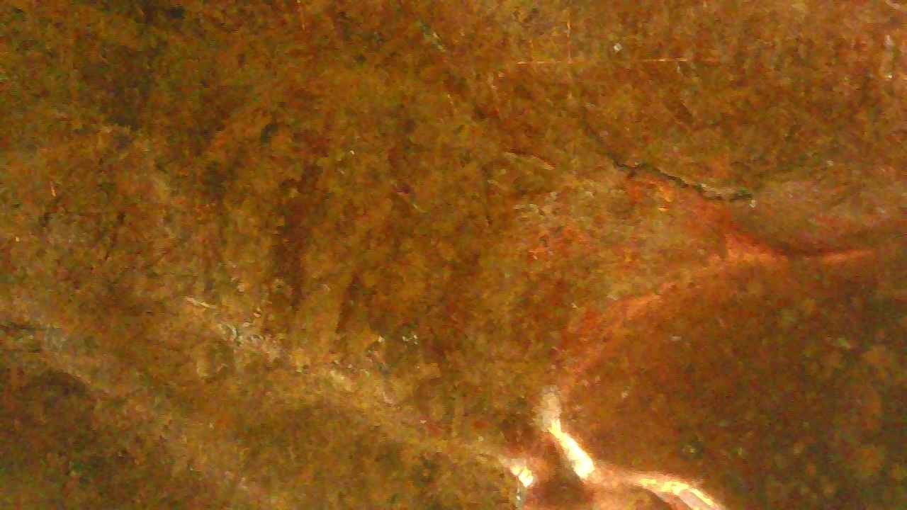 Peculiar-1960-Lincoln-Cent