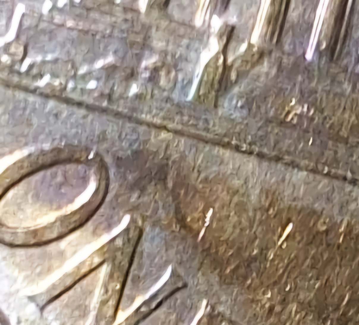 Help!--2005-Penny,-Is-It-A-DDR/-DDO?-Or--Both-Rare-I-Know-?-Also-Has-Weird-Color