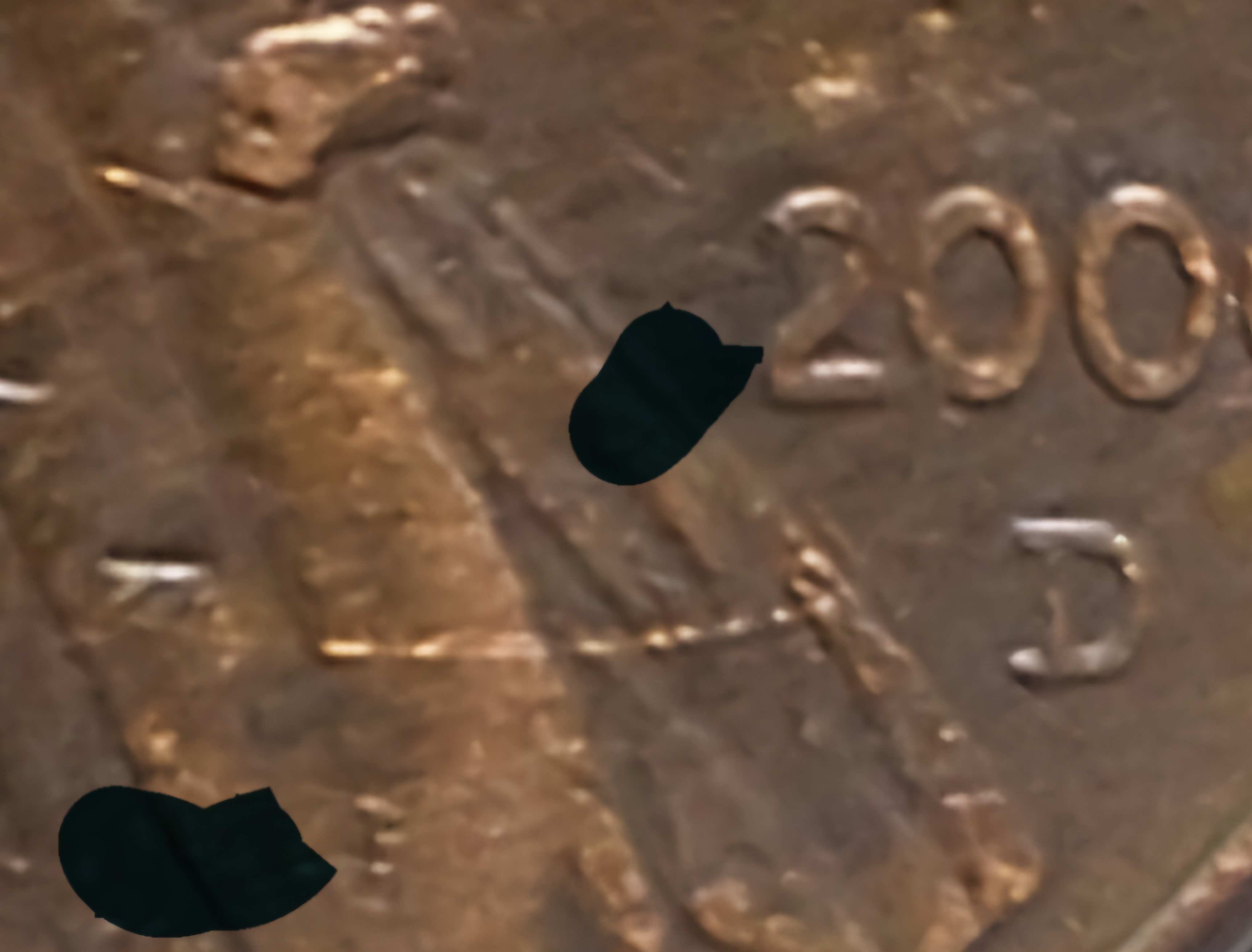 2000-D-Penny-I-Have-No-Clue