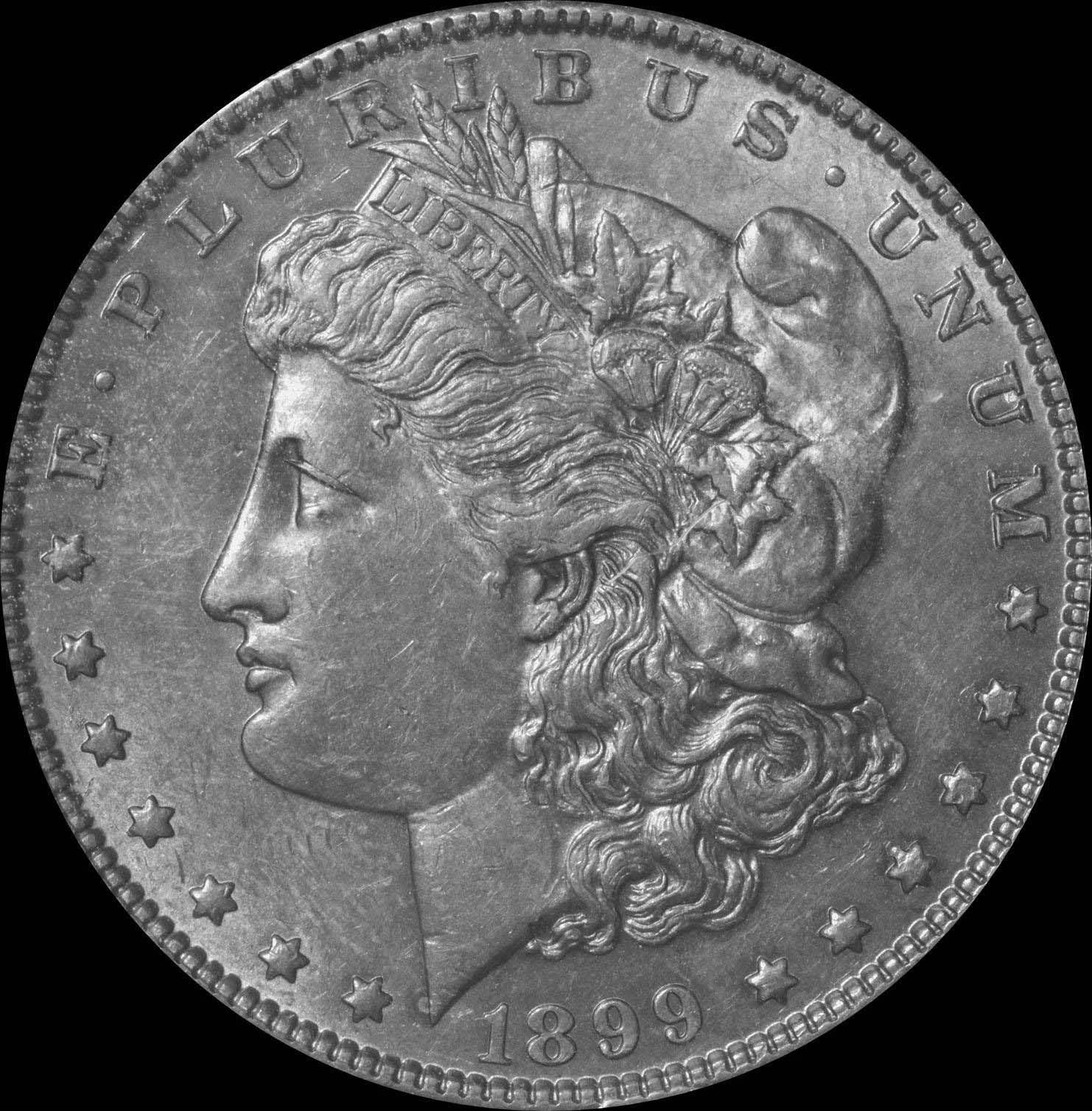 1899-Morgan-PCGS-Results-Not-Good